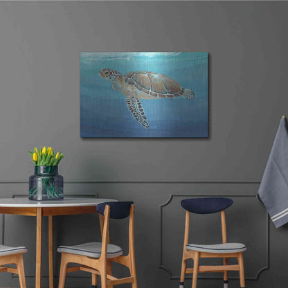 Luxe Metal Art 'Ocean Sea Turtle II' by Tim O'Toole, Metal Wall Art,36x24