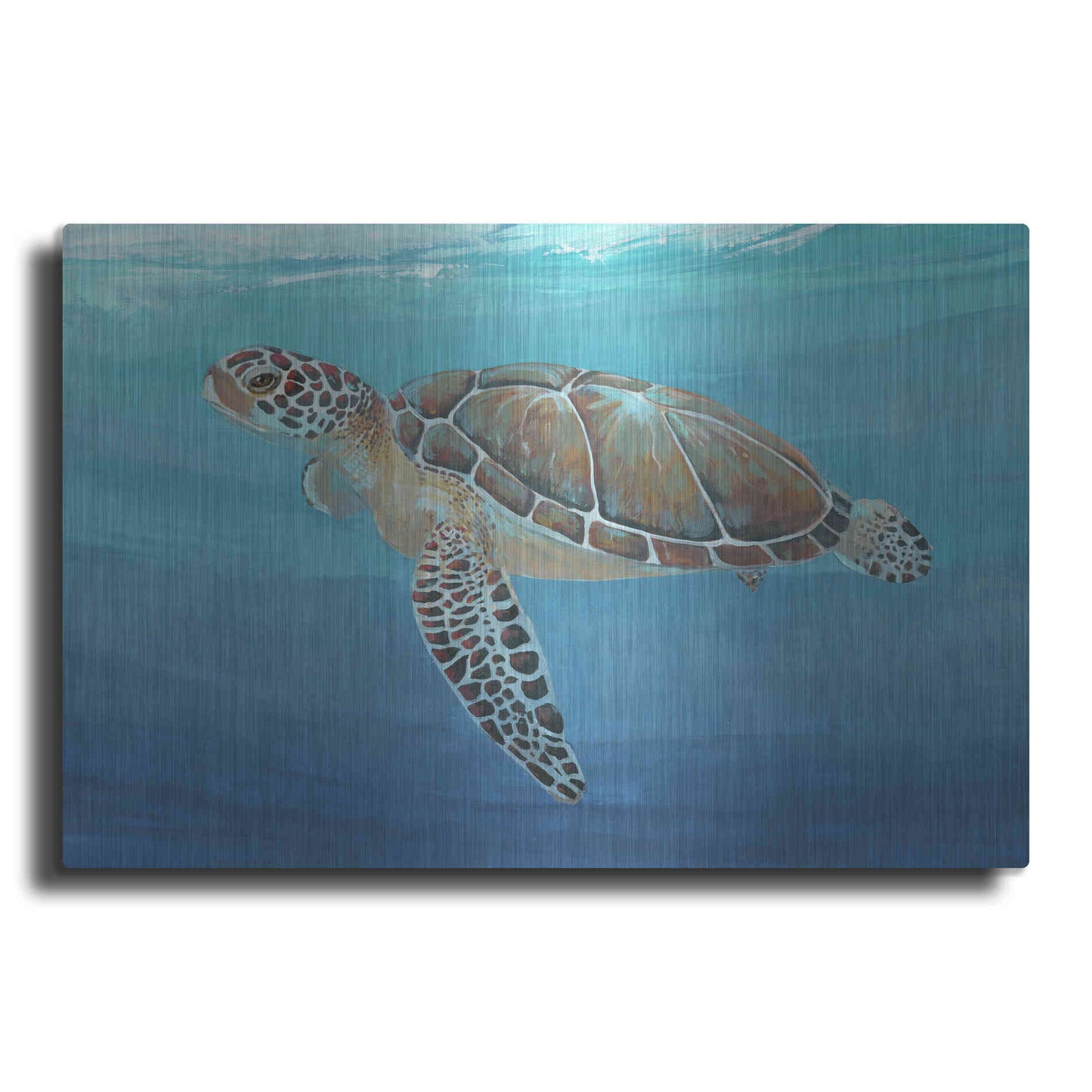 Luxe Metal Art 'Ocean Sea Turtle II' by Tim O'Toole, Metal Wall Art
