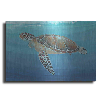 Luxe Metal Art 'Ocean Sea Turtle II' by Tim O'Toole, Metal Wall Art