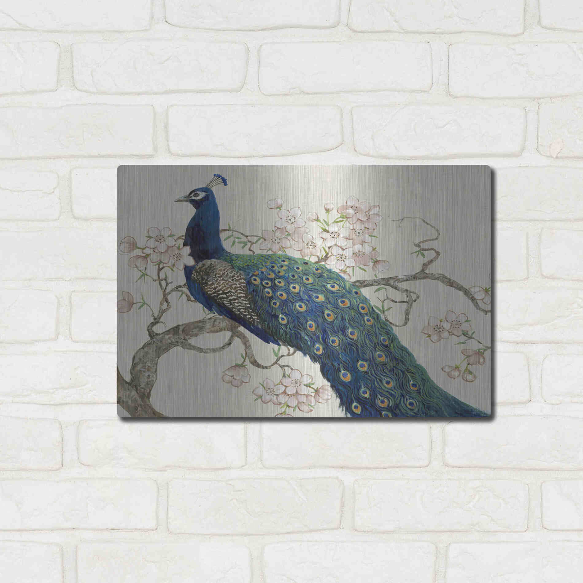 Luxe Metal Art 'Peacock & Blossoms II' by Tim O'Toole, Metal Wall Art,16x12