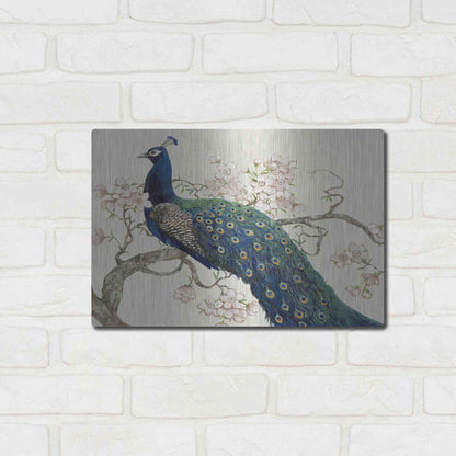Luxe Metal Art 'Peacock & Blossoms II' by Tim O'Toole, Metal Wall Art,16x12