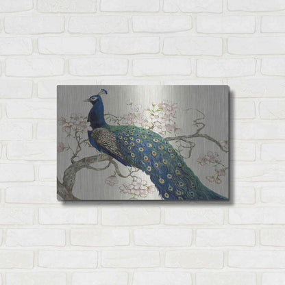 Luxe Metal Art 'Peacock & Blossoms II' by Tim O'Toole, Metal Wall Art,24x16