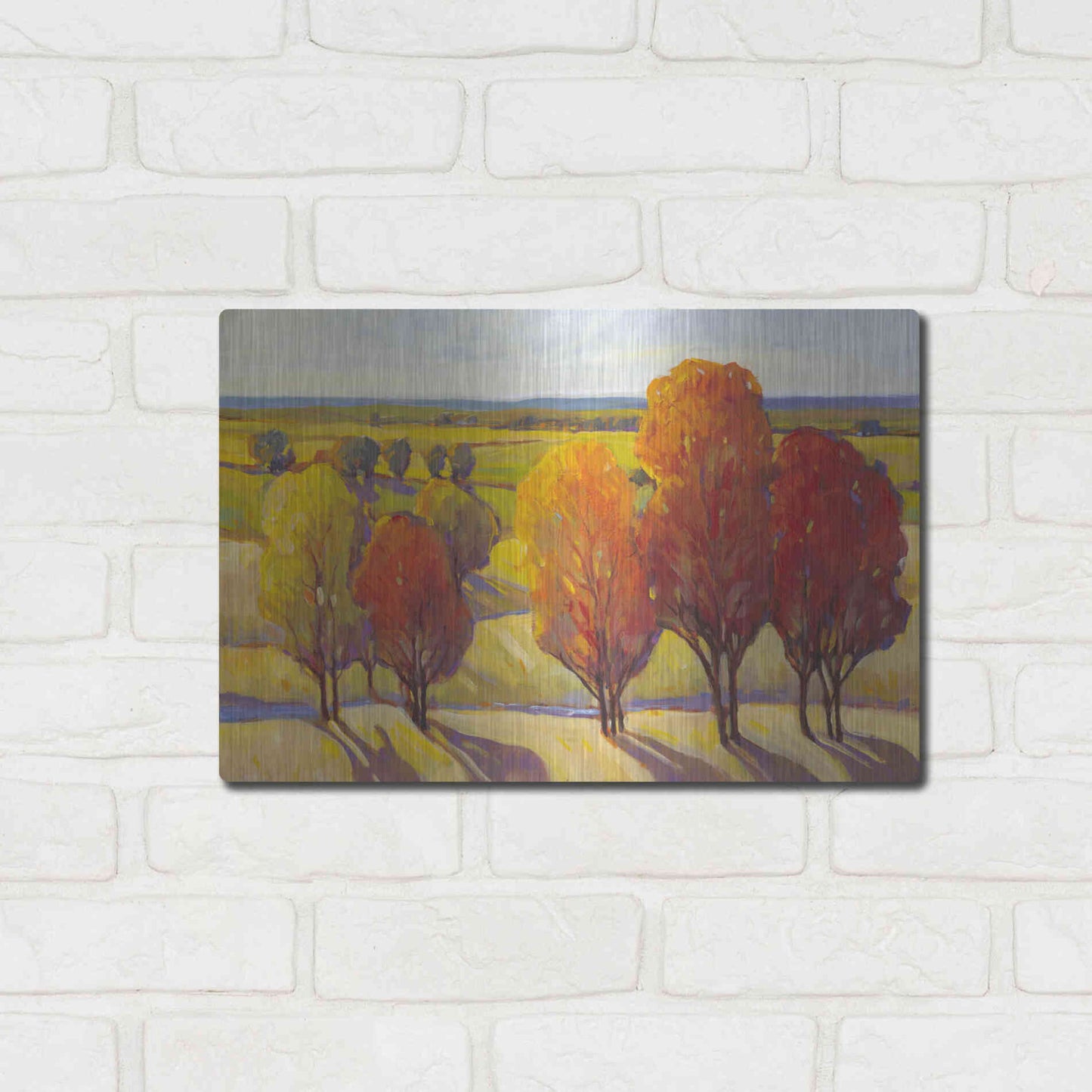 Luxe Metal Art 'Day Glow I' by Tim O'Toole, Metal Wall Art,16x12