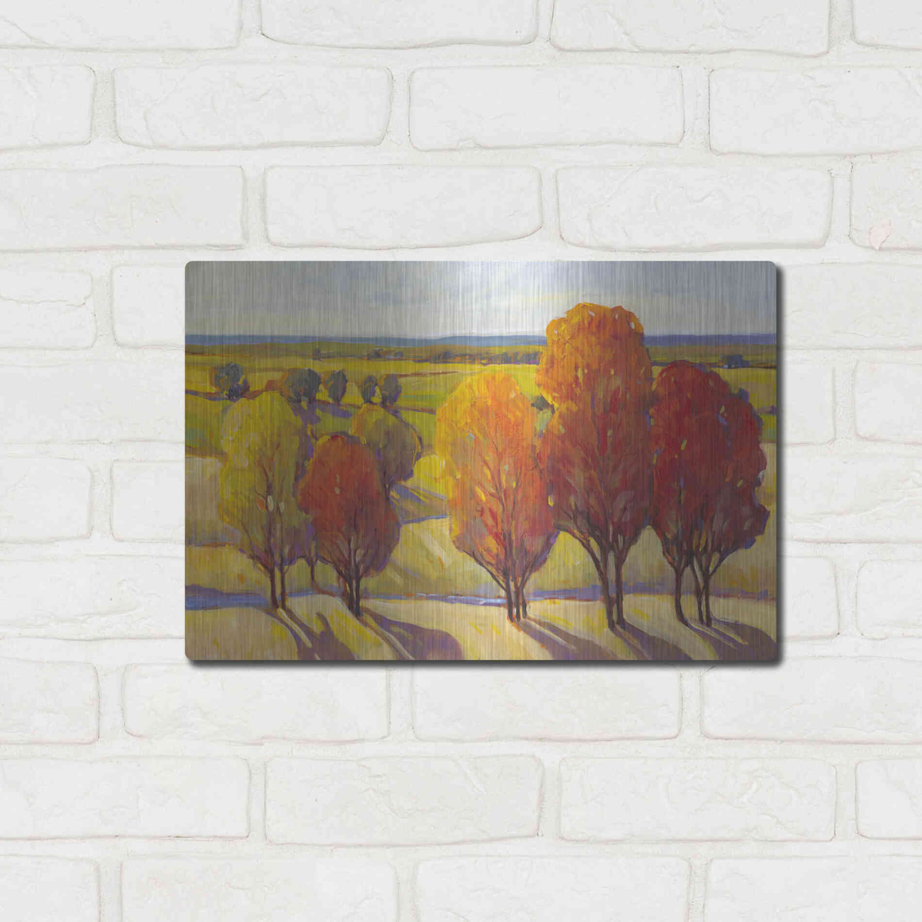 Luxe Metal Art 'Day Glow I' by Tim O'Toole, Metal Wall Art,16x12