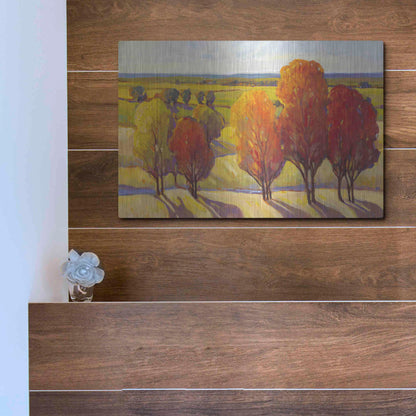 Luxe Metal Art 'Day Glow I' by Tim O'Toole, Metal Wall Art,16x12