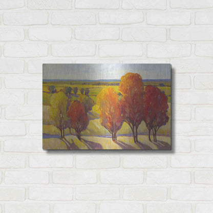 Luxe Metal Art 'Day Glow I' by Tim O'Toole, Metal Wall Art,24x16