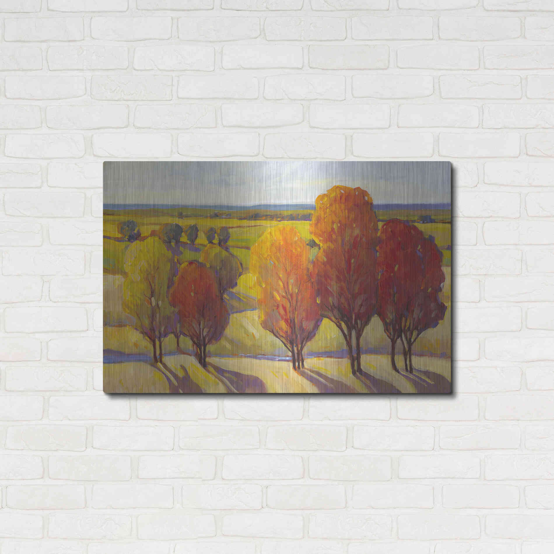 Luxe Metal Art 'Day Glow I' by Tim O'Toole, Metal Wall Art,36x24