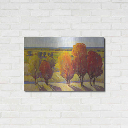 Luxe Metal Art 'Day Glow I' by Tim O'Toole, Metal Wall Art,36x24