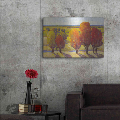 Luxe Metal Art 'Day Glow I' by Tim O'Toole, Metal Wall Art,36x24