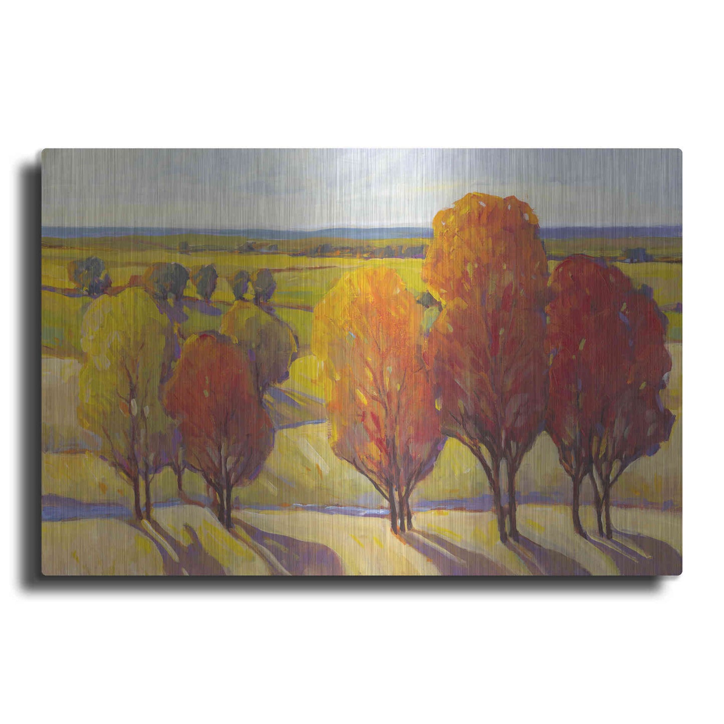 Luxe Metal Art 'Day Glow I' by Tim O'Toole, Metal Wall Art