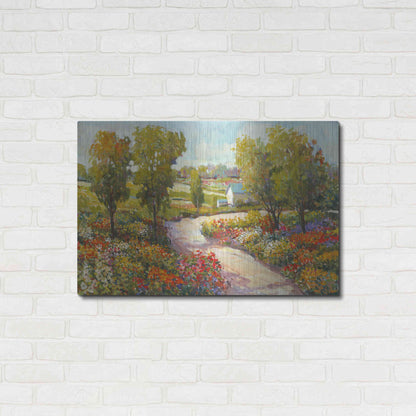 Luxe Metal Art 'Morning Walk I' by Tim O'Toole, Metal Wall Art,36x24