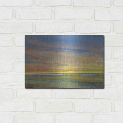 Luxe Metal Art 'Fading Light I' by Tim O'Toole, Metal Wall Art,16x12