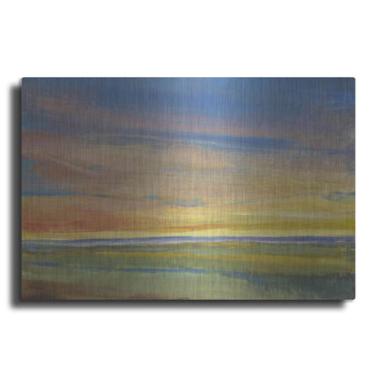 Luxe Metal Art 'Fading Light I' by Tim O'Toole, Metal Wall Art