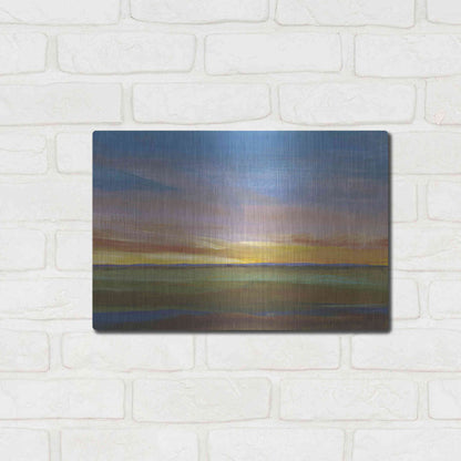 Luxe Metal Art 'Fading Light II' by Tim O'Toole, Metal Wall Art,16x12