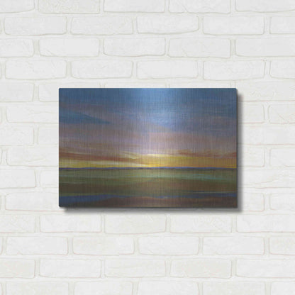 Luxe Metal Art 'Fading Light II' by Tim O'Toole, Metal Wall Art,24x16