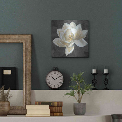 Luxe Metal Art 'Majestic Magnolia Neutral Sq' by Albena Hristova, Metal Wall Art,12x12