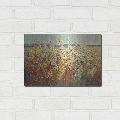 Luxe Metal Art 'Field of Spring Flowers II' by Tim O'Toole, Metal Wall Art,16x12