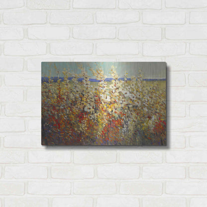 Luxe Metal Art 'Field of Spring Flowers II' by Tim O'Toole, Metal Wall Art,24x16