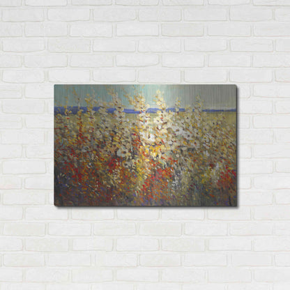 Luxe Metal Art 'Field of Spring Flowers II' by Tim O'Toole, Metal Wall Art,36x24
