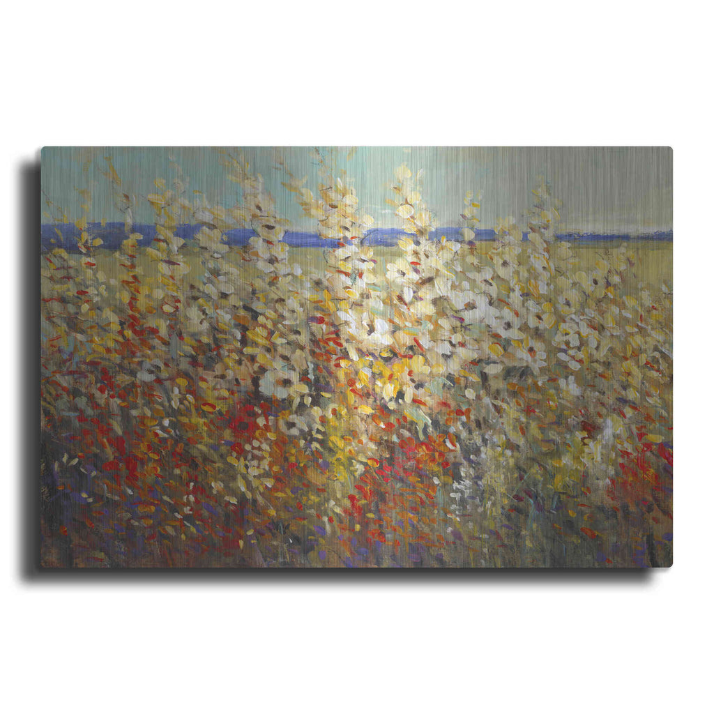 Luxe Metal Art 'Field of Spring Flowers II' by Tim O'Toole, Metal Wall Art