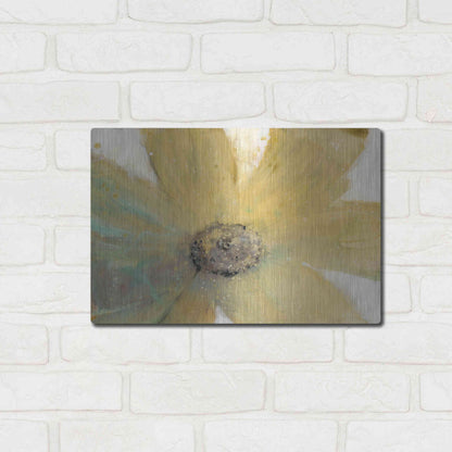 Luxe Metal Art 'Floral Spirit II' by Tim O'Toole, Metal Wall Art,16x12