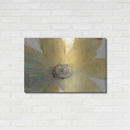 Luxe Metal Art 'Floral Spirit II' by Tim O'Toole, Metal Wall Art,36x24
