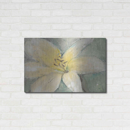 Luxe Metal Art 'Floral Spirit III' by Tim O'Toole, Metal Wall Art,36x24