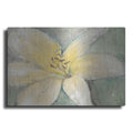 Luxe Metal Art 'Floral Spirit III' by Tim O'Toole, Metal Wall Art