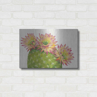 Luxe Metal Art 'Desert Blossoms I' by Tim O'Toole, Metal Wall Art,24x16