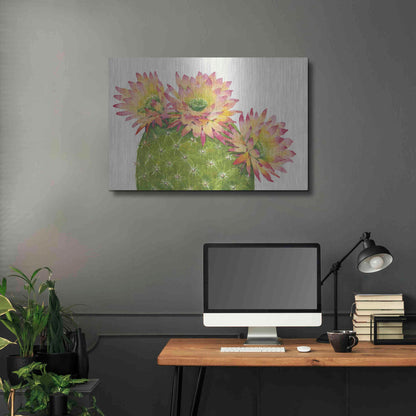 Luxe Metal Art 'Desert Blossoms I' by Tim O'Toole, Metal Wall Art,36x24