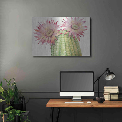 Luxe Metal Art 'Desert Blossoms II' by Tim O'Toole, Metal Wall Art,36x24