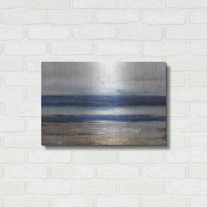 Luxe Metal Art 'Movement II' by Tim O'Toole, Metal Wall Art,24x16