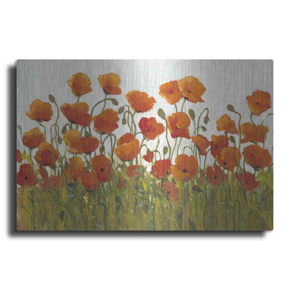 Luxe Metal Art 'Rows of Poppies I' by Tim O'Toole, Metal Wall Art