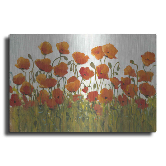 Luxe Metal Art 'Rows of Poppies I' by Tim O'Toole, Metal Wall Art