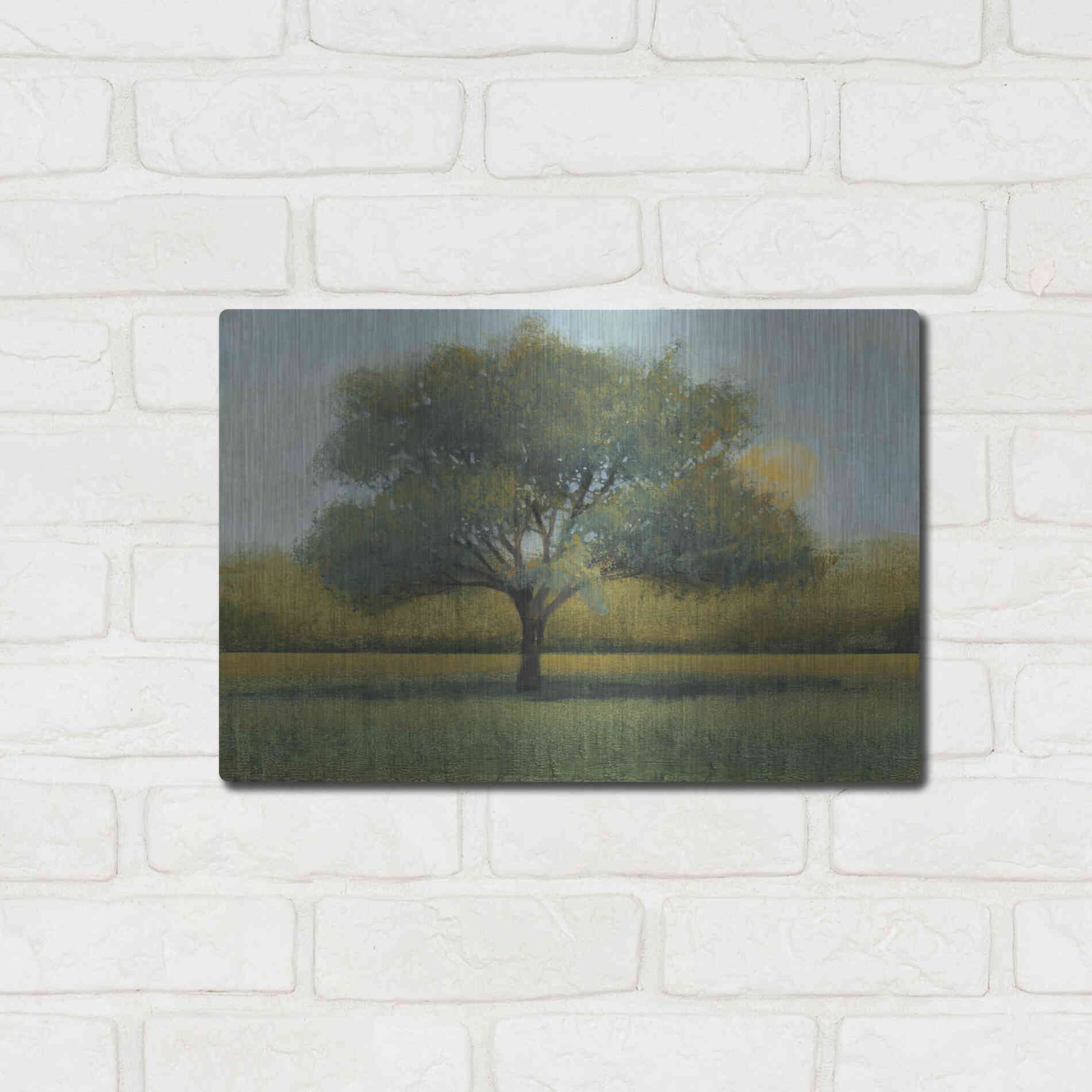 Luxe Metal Art 'Sunrise I' by Tim O'Toole, Metal Wall Art,16x12