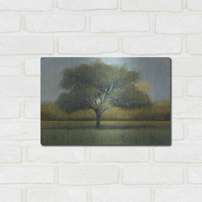 Luxe Metal Art 'Sunrise I' by Tim O'Toole, Metal Wall Art,16x12