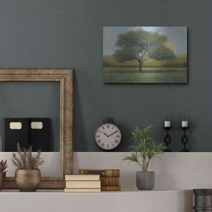 Luxe Metal Art 'Sunrise I' by Tim O'Toole, Metal Wall Art,16x12