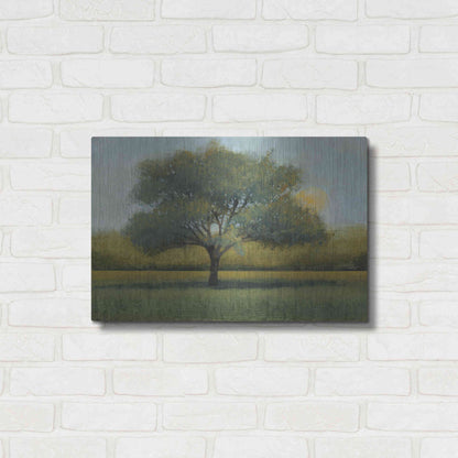 Luxe Metal Art 'Sunrise I' by Tim O'Toole, Metal Wall Art,24x16