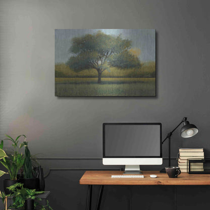 Luxe Metal Art 'Sunrise I' by Tim O'Toole, Metal Wall Art,36x24