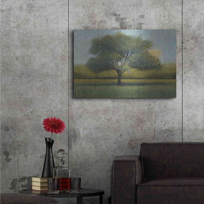 Luxe Metal Art 'Sunrise I' by Tim O'Toole, Metal Wall Art,36x24