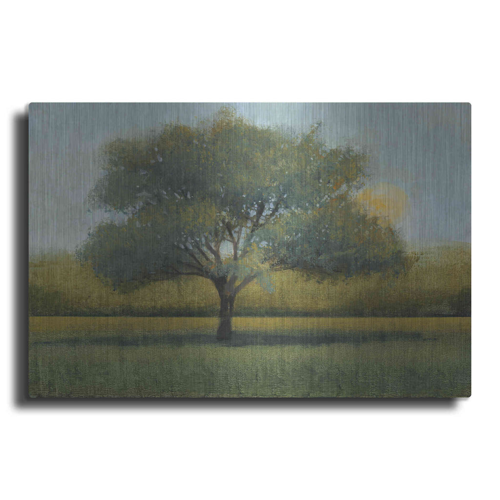 Luxe Metal Art 'Sunrise I' by Tim O'Toole, Metal Wall Art