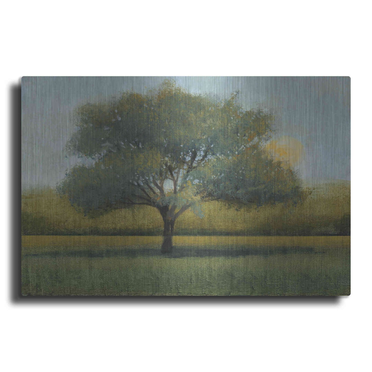 Luxe Metal Art 'Sunrise I' by Tim O'Toole, Metal Wall Art