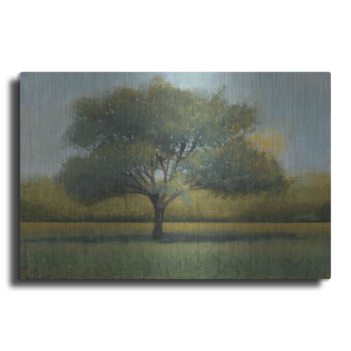 Luxe Metal Art 'Sunrise I' by Tim O'Toole, Metal Wall Art