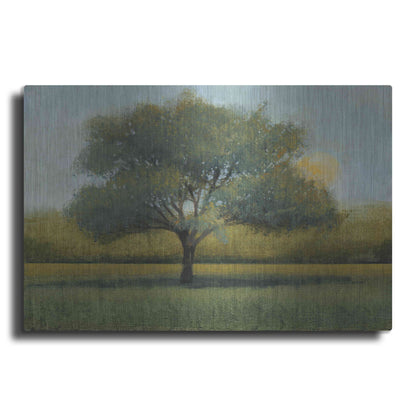 Luxe Metal Art 'Sunrise I' by Tim O'Toole, Metal Wall Art