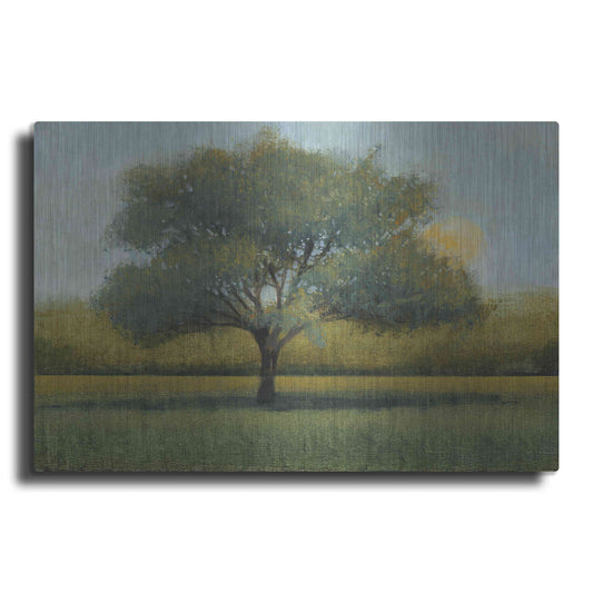 Luxe Metal Art 'Sunrise I' by Tim O'Toole, Metal Wall Art