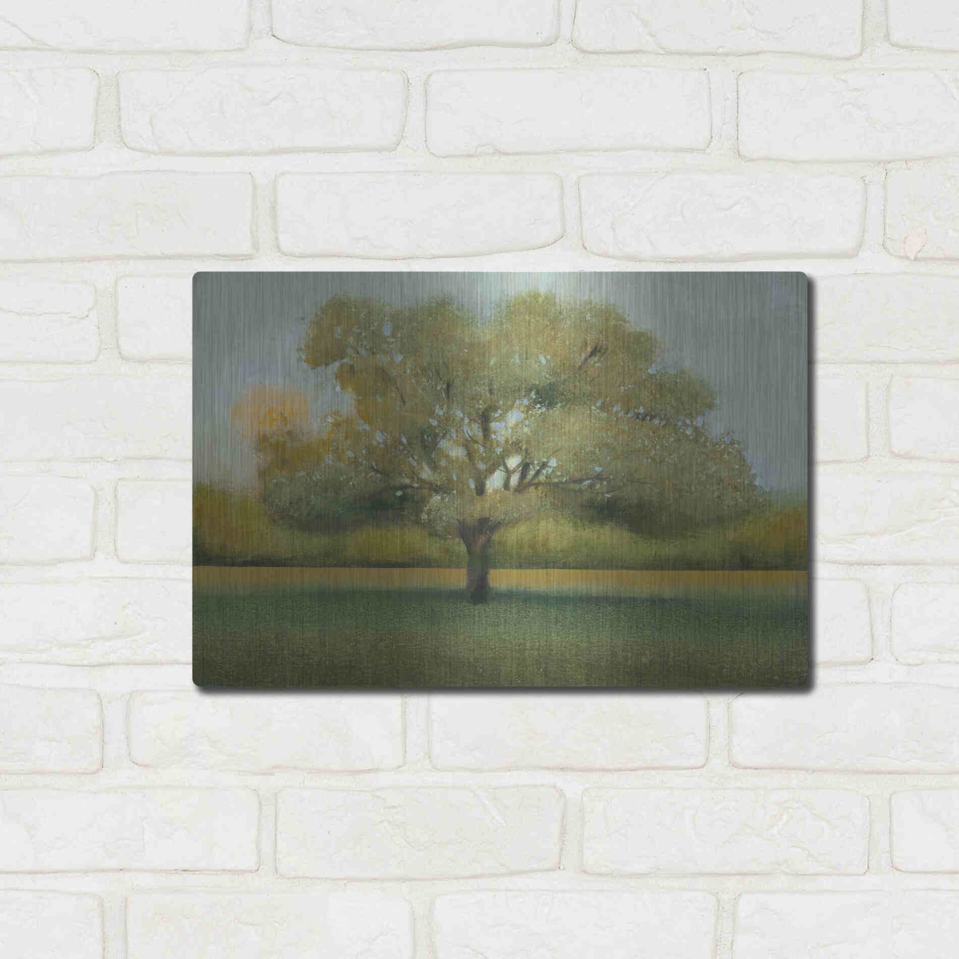 Luxe Metal Art 'Sunrise II' by Tim O'Toole, Metal Wall Art,16x12