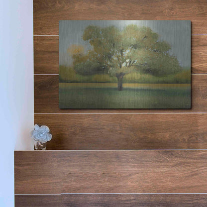 Luxe Metal Art 'Sunrise II' by Tim O'Toole, Metal Wall Art,16x12