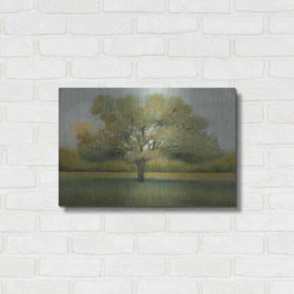 Luxe Metal Art 'Sunrise II' by Tim O'Toole, Metal Wall Art,24x16