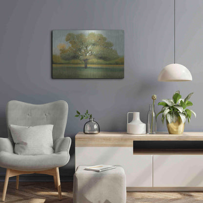 Luxe Metal Art 'Sunrise II' by Tim O'Toole, Metal Wall Art,24x16