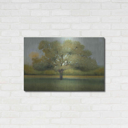 Luxe Metal Art 'Sunrise II' by Tim O'Toole, Metal Wall Art,36x24